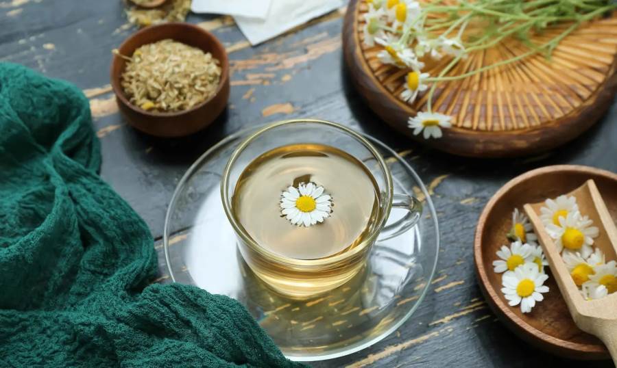 فوائد ومخاطر شاي البابونج أثناء الحمل