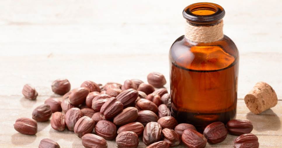 زيت الجوجوبا.. لترطيب بشرتك المختلطة في الخريف