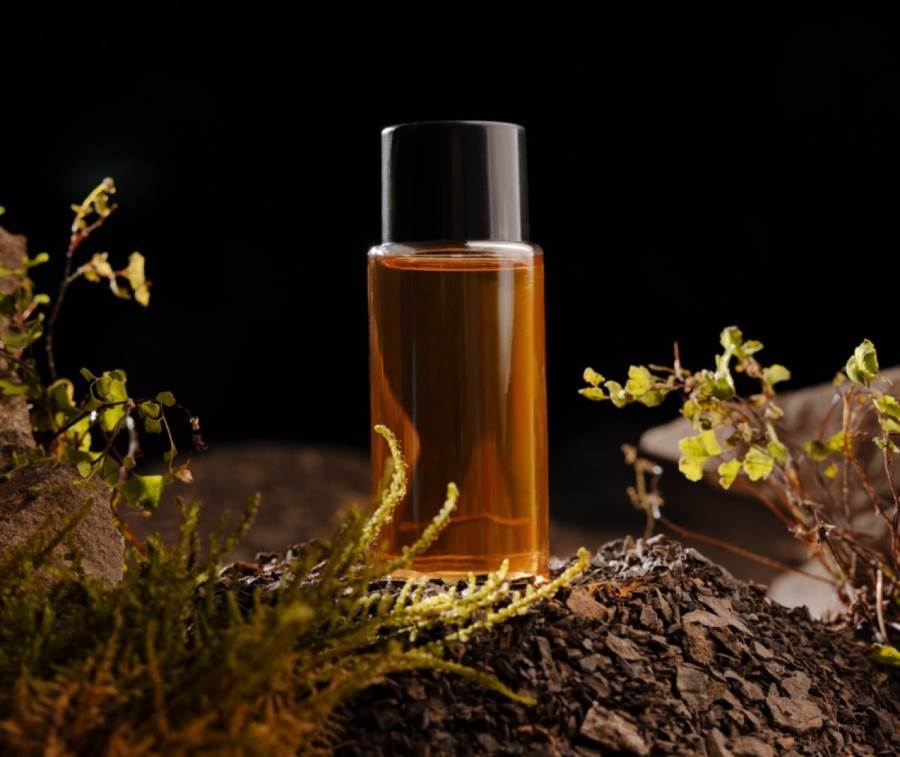 باقة من أجمل العطور النسائية الجديدة لعاشقات المسك