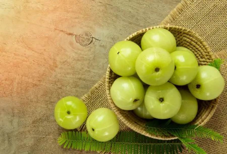 فوائد ثمرة الأملا الهندية للشعر