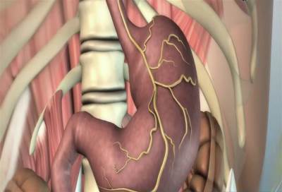 اكتشاف خارطة جزيئية لسرطان المعدة يساعد على العلاج   