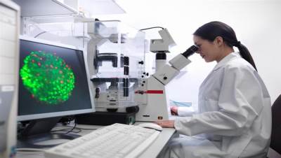 دم الطمث مصدر جيد لخلايا المنشأ