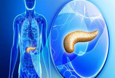 زرع جزيرات البنكرياس يظهر نتائج واعدة