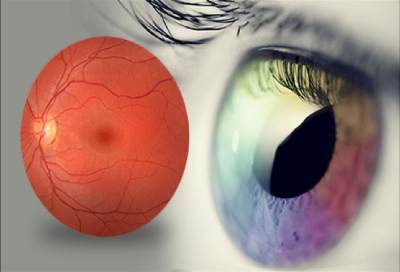 في كشف قد يؤدي الي ثورة علمية .. زراعة خلايا في الشبكية "تعيد الإبصار"