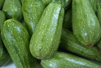 الكوسا .. غذاء صحي ولذيذ في كل الوصفات