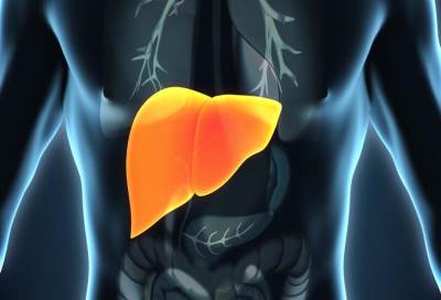 في كشف طبي مثير قد يساعد في محاربة الإلتهاب الكبدي دون علاج