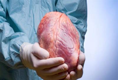زراعة الأعضاء .. هل تحولت الى سياحة تثير المخاوف؟