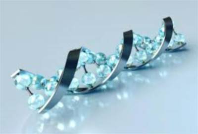 الجينات .. هي التي تقرر توزيع الشحم في أجسام النساء والرجال