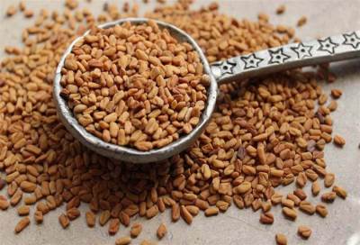 «الحلبة» .. فيها العجب وفوائد بلا حصر