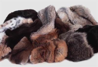 بعد أن استمر لسنوات حكرا على الأثرياء .. الفرو في حياة السعوديين