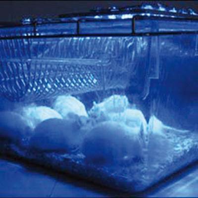 باحثون في سويسرا .. يكتشفون طريقة لإنتاج هرمون الإنسولين