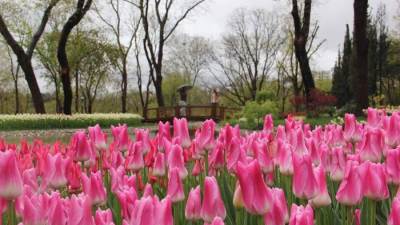 رعاية الحديقة أمر هام في كل وقت .. ولكن ماذا عند مجيء الخريف؟