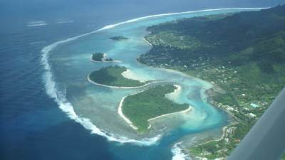 اكتشاف "فيروس عملاق" في مياه المحيط الهادئ قبالة ساحل تشيلي