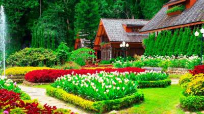 حديقة الشفاء .. كيف تستفيدين منها؟