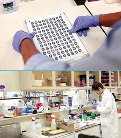 قصاصات ورق .. تكتشف الأمراض دون الحاجة إلى المختبرات