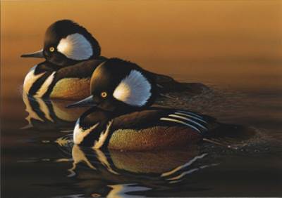 اكتشاف نوع جديد من الخفافيش في فيتنام  