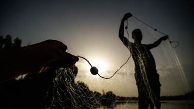 عجوز سعودي: عشت في الماء 40 عامًا على صوت "أم كلثوم"