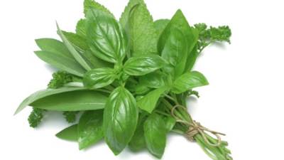 الريحان بخواصه الطبيعية مضاد لالتهاب المفاصل