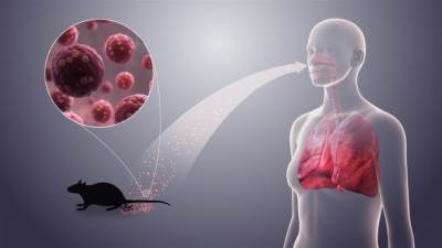  مخاوف من إصابة 10 آلاف شخص بفيروس هانتا القاتل بأمريكا