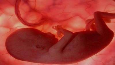 تقنية التصوير الرباعى الأبعاد تظهر تثاؤب الأجنة داخل الرحم