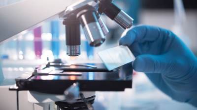 المختبرات تبحث عن وسائل مطورة سريعة .. لفحص الجسم من الداخل