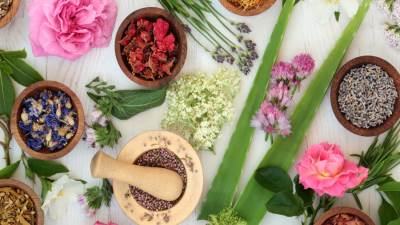 ماذا تعرفين عن أعشاب النحافة الطبيعية