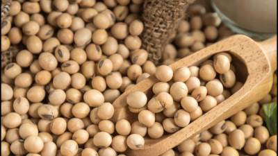 اكتشاف خواص جديدة لفول الصويا فى الحد من سرطان القولون والكبد والرئة