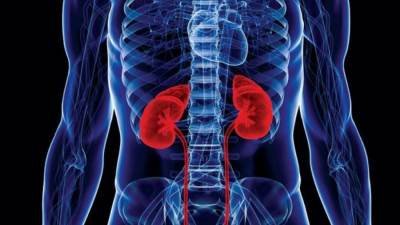 هدية معلمة لتلميذتها.. كلية