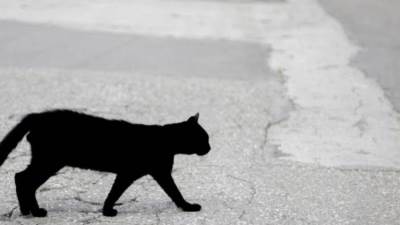  أبو رجل مسلوخة والبعبع ..  خرافات سيطرت على عقول المصريين