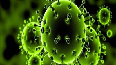 «فيروس كورونا الشرق الأوسط» .. مصادره وأخطاره