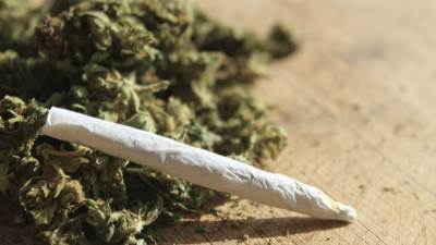 علماء فرنسيون يكتشفون هرمونًا قد يكافح إدمان الماريجوانا