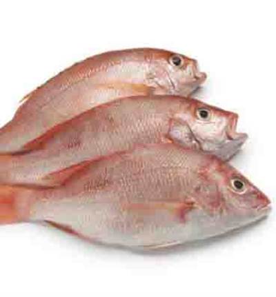 أطعمة تساعد علي تقوية أظافرك