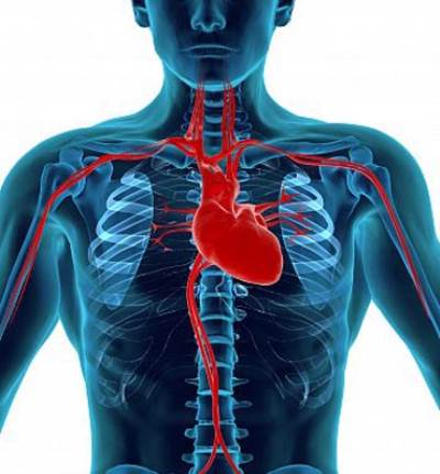تسعة عوامل خطورة تؤدي للإصابة بأمراض القلب والأوعية الدموية 