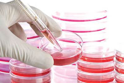 علاج جديد لأمراض السرطان والفشل الكلوى بالخلايا الجذعية