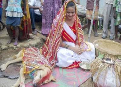  هندية تتزوج من كلب