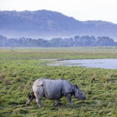 جمال السفارى في متنزهات الهند