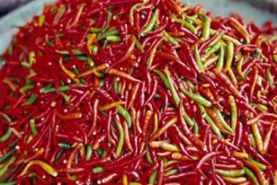 دور جديد للفلفل في الوقاية من سرطان القولون والبروستات