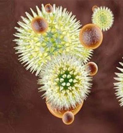 عدوى «إيبولا» .. هل تنتقل عبر الرذاذ أو الهواء؟