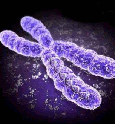 اكتشاف جديد من اجل التمتع بصحة الشباب وانت في سن الشيخوخة!