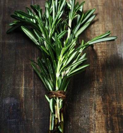 نباتات طبيعية للتخلص من الصداع