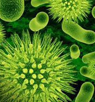  إختبار منزلي للكشف عن الإصابة بالفطريات مع أعراض الإصابة