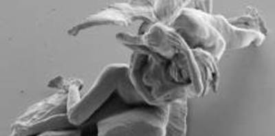 بالصورة .. نحات افريقي صنع أصغر تمثال في التاريخ