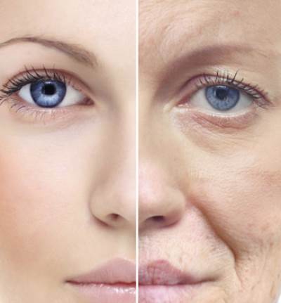 أبحاث علمية غريبة .. لكشف أسرار الشيخوخة