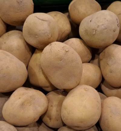 الفرق بين البطاطس الضارة والأخرى كاملة الفوائد