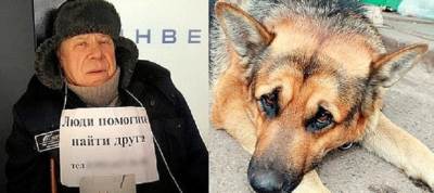 رجل يموت بسبب فقدان كلبه