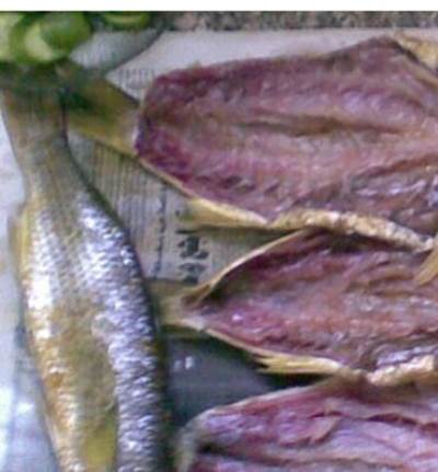 تأثير الفسيخ على المرأة الحامل