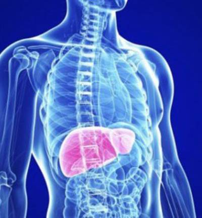 أسهل طريقة لغسل الكلي والكبد من السموم