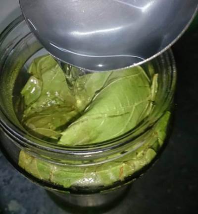 تعرفي على طريقة تخزين ورق العنب لمدة عام