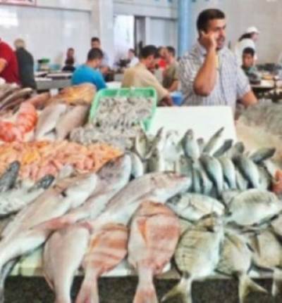 5 أنواع من الأسماك يحذر الأطباء من تناولها .. أبرزها "البلطى"