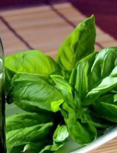 زيت شجرة الشاى للبشرة الجافة وتساقط الشعر وغيرها